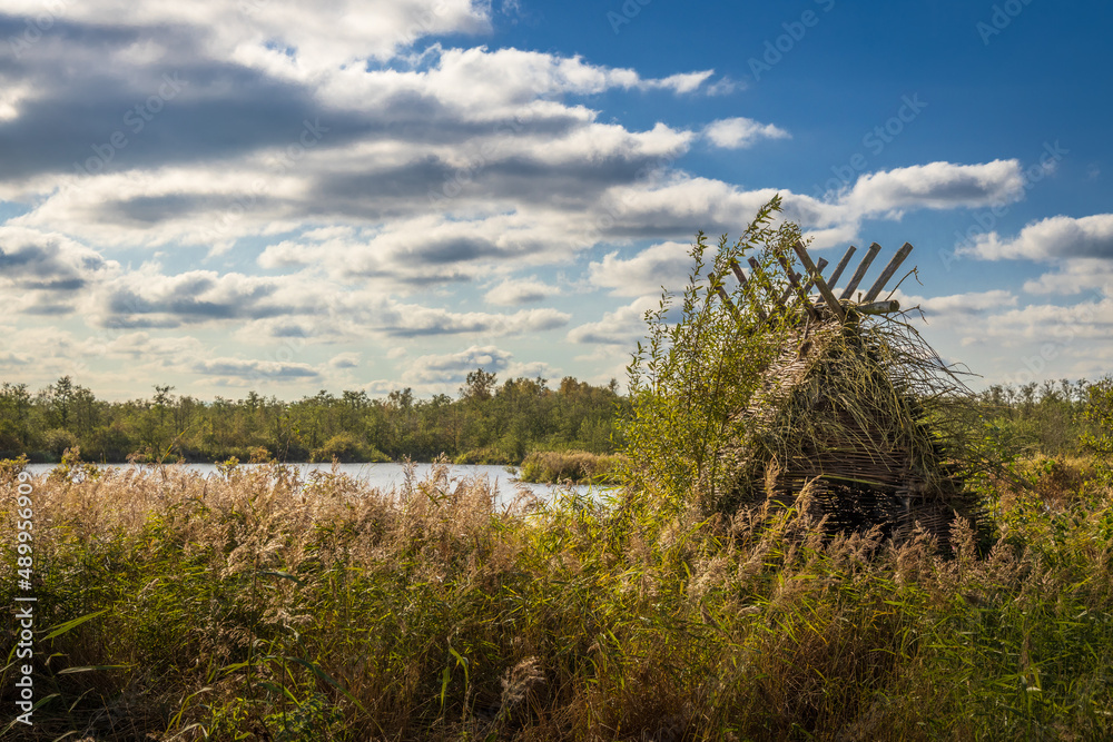 small lake between reeds in nature reserve Alde Feanen in Friesland, The Netherlands