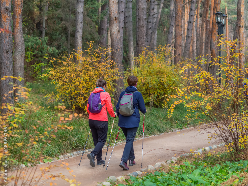 Hikers with sticks go along the walking path in the autumn park. Nordic walking. National Kislovodsk Park Hikers with sticks go along the walking path in the autumn park. Nordic walking. National Kislovodsk Park