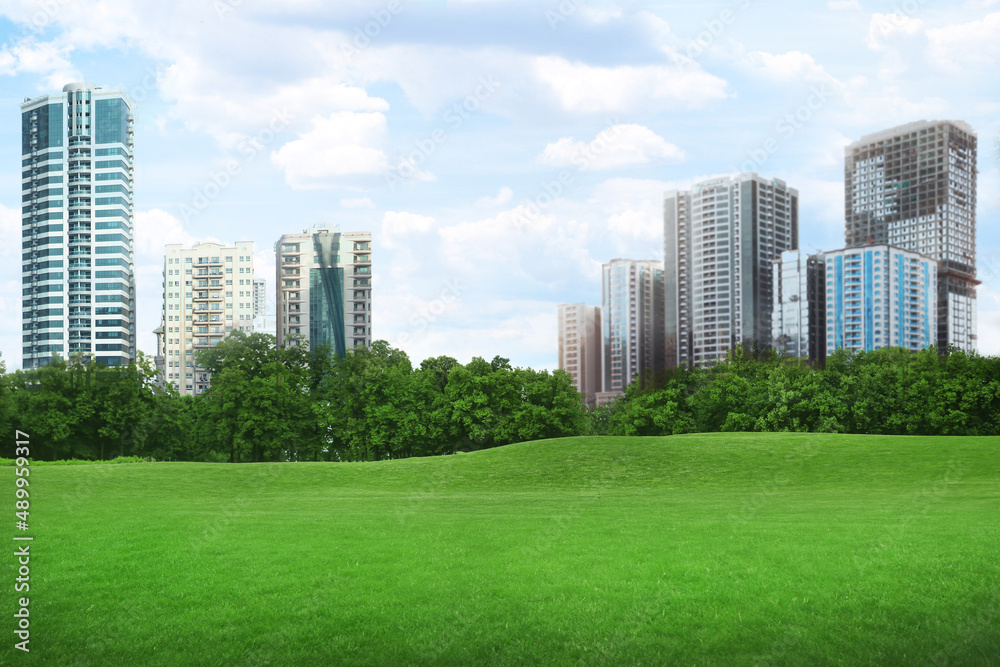 Beautiful view of park with green lawn and cityscape on sunny day