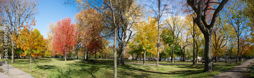 Panoramic of a fall scene in Lafontaine Park in Montreal 