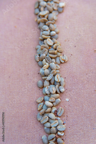 green coffee beans on sack cloth