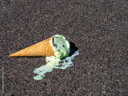 Εκτύπωση καμβά Mint Chocolate Chip Ice Cream cone melting after being dropped onto the ground