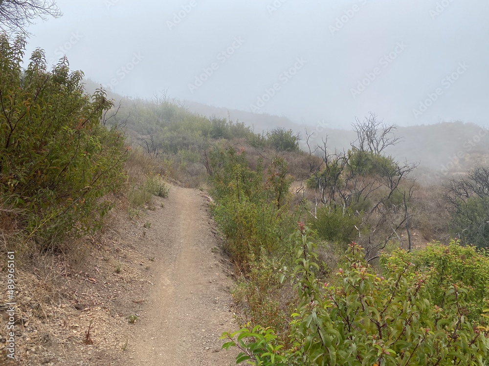 Backbone Trail hiking path through Santa Monica Mountains, Southern California, on a foggy morning