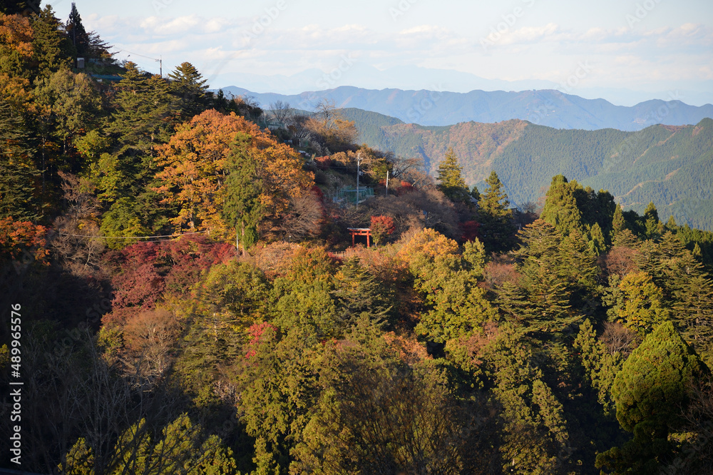 武蔵御岳山からの眺望、参道と鳥居 武蔵御岳山からの眺望、参道と鳥居