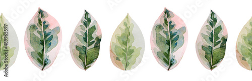 Seamless border watercolor ficus leaves isolated on white background. Hand-drawn rubber home plant for decor interior. Nature creative clipart for card, sticker, textil, wrapping wallpaper sketchbook