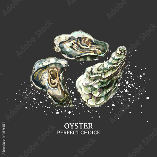326_oyster_oyster, realistic drawing, set of vector graphic illustrations of seashells on a dark background, salt, text