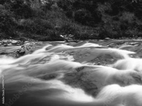 stream in the forest