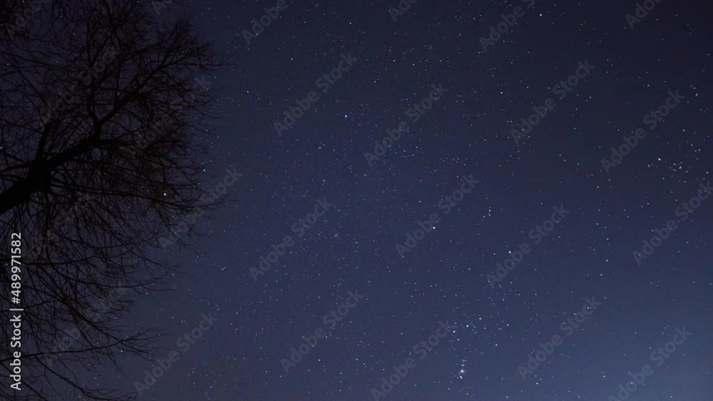 Starry sky, branches, time-lapse Starry sky, branches, time-lapse