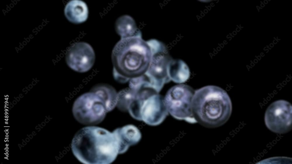 Falling BLUEBERRIES Background, Loop,  Animation, Rendering, with Alpha Matte
