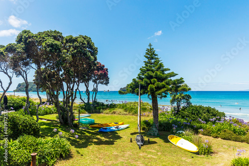 View from the backyard of a bach in Whangamata beach in New Zealand photo