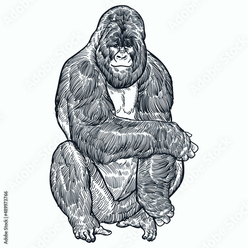 Vintage hand drawn sketch sit gorilla