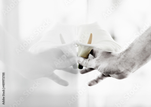 Two coming together as one. Closeup of a hand pressing a Calla lilly against a window.