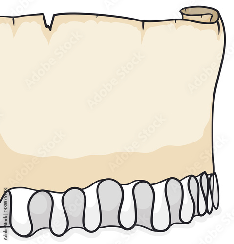 Fototapeta Ancient curled scroll over ruff clothing, Vector illustration