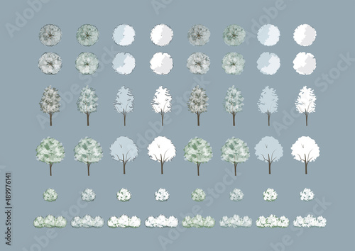 tree_winter