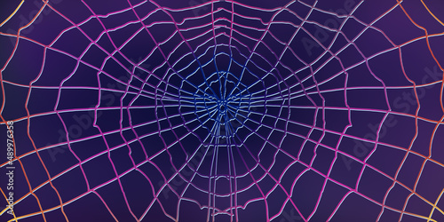 spider web background © Vender