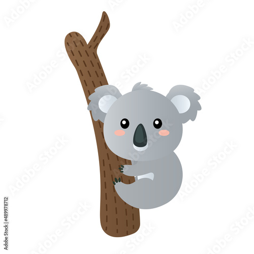Australian animal koala cartoon vector illustration isolated object
