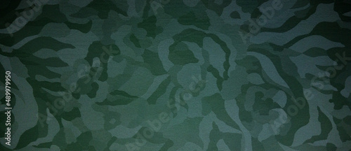 Rectangular photo of a khaki protective texture. Texture with relief streaks of green color.