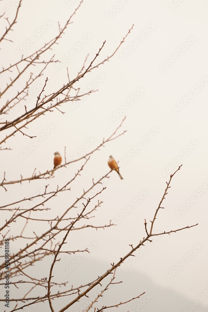 Nature's bounty Stock Photo | Adobe Stock