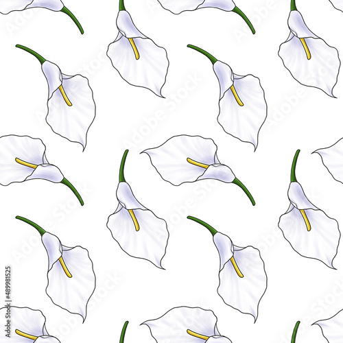seamless pattern with drawing flower of white arum lily, calla at white background, hand drawn illustration