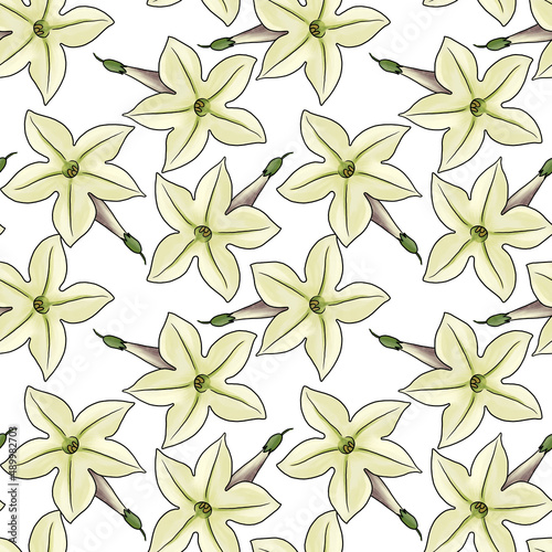 seamless pattern with drawing tobacco flowers  Nicotiana suaveolens at white background  Australian tobacco  hand drawn illustration