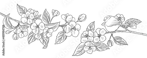 vector drawing natural background with bird and flowering apple tree branches, hand drawn illustration for cover design or print