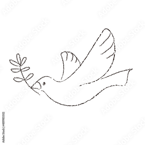 オリーブの葉をくわえる鳩のイラスト　線画