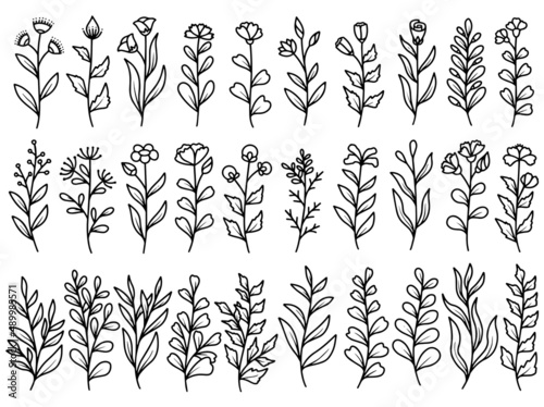 Hand drawn flower sketch line art illustration set