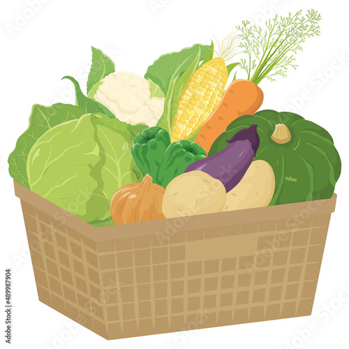買い物かごに入った野菜