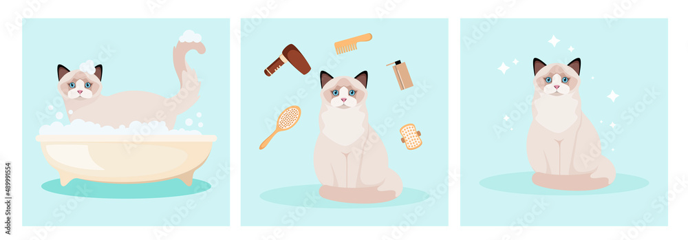 Ragdoll cat washes in the bathroom. Grooming. Cartoon design. Vector illustration.
Ragdoll cat washes in the bathroom. Grooming. Cartoon design. Vector illustration.
