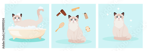 Ragdoll cat washes in the bathroom. Grooming. Cartoon design. Vector illustration.
