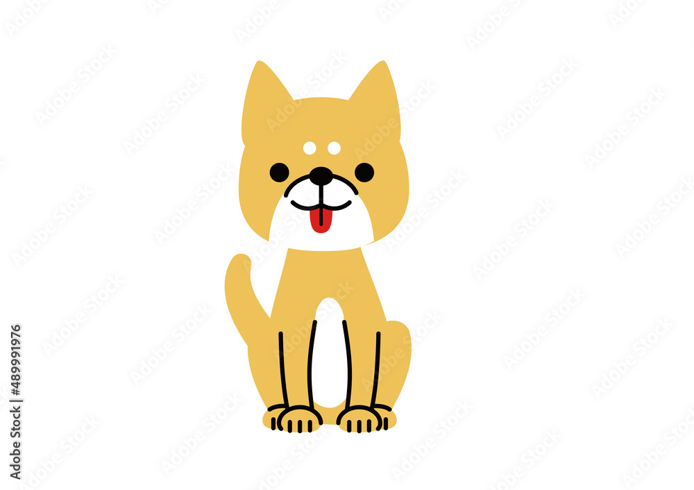 舌を出してお座りしている柴犬