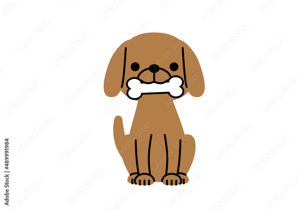 骨をくわえてお座りしている茶色い犬 骨をくわえてお座りしている茶色い犬