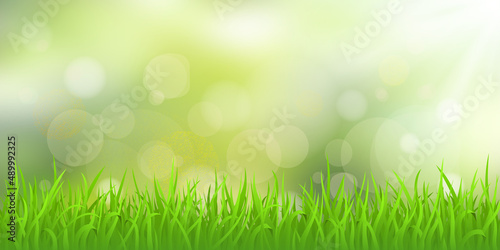 Vector spring illustration, grass and blurry background. Bokeh effect, sunny morning.