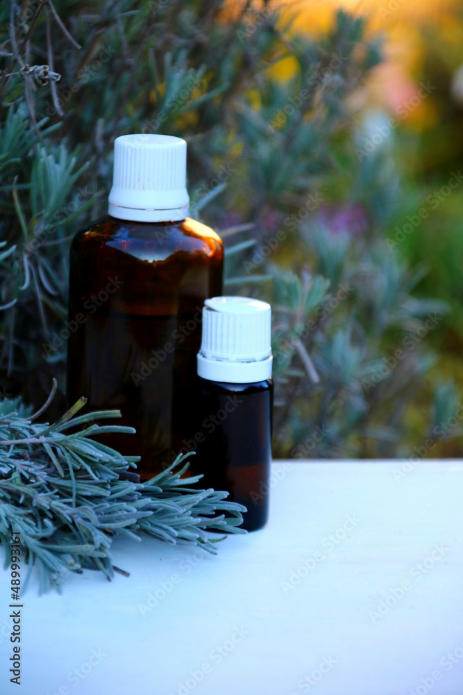lavendel naturheilkunde