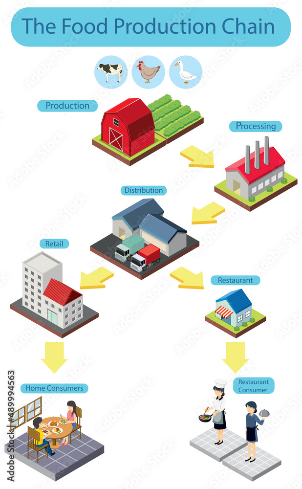 Diagram of supply chain management
