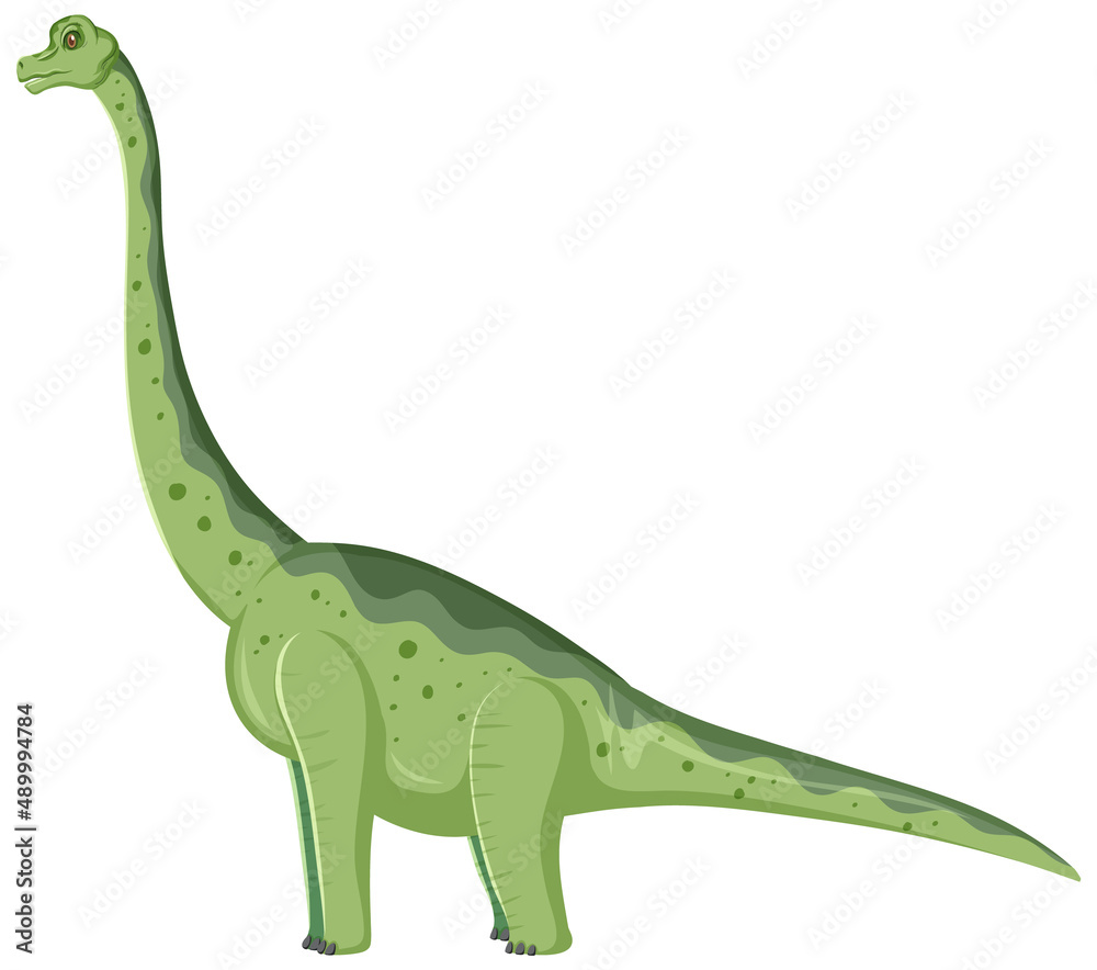 Fototapeta premium Brachiosaurus dinosaur on white background