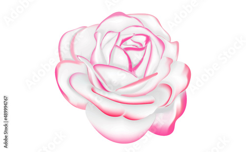 Wallpaper Mural Pink white tone Rose design Torontodigital.ca