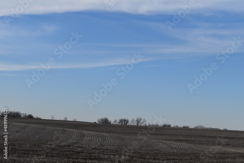 Blue Sky Over a Farm Field