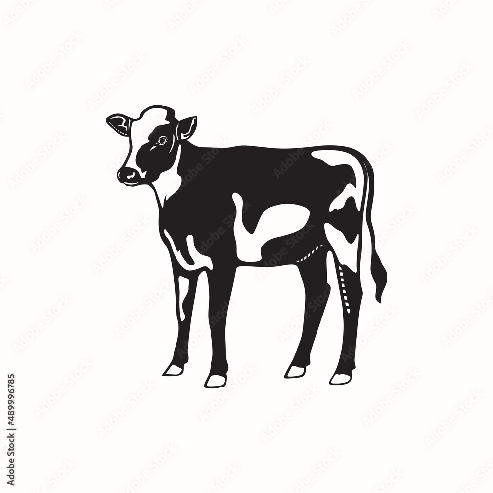 cow, young cow logo. silhouette of happy and healthy calf vector illustration