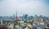 Tokyo city view and Tokyo tower at daytime.