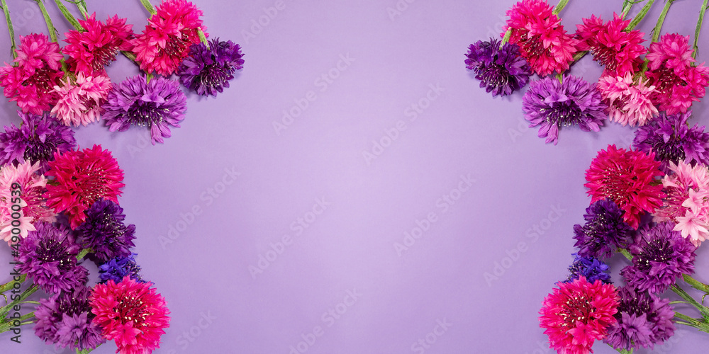 Banner de flores hermosas de colores sobre fondo claro. Stock Photo | Adobe  Stock