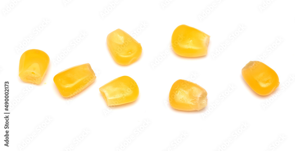 Corn grains isolated on a white background.