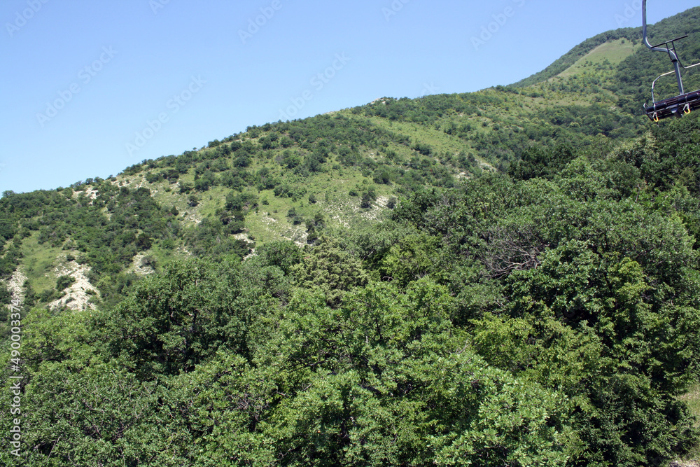 View of the mountains overgrown with forest.