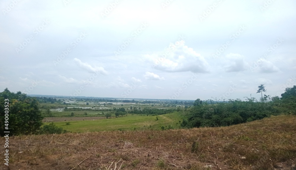 the landscape of the Cakat Raya swamp area, the Tulang Bawang Menggala way, Lampung