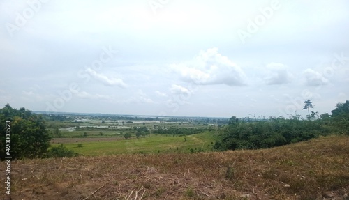 the landscape of the Cakat Raya swamp area  the Tulang Bawang Menggala way  Lampung