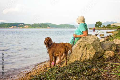 Irish red setter in a hunting stance on a leash with an owner near the lake. An adult woman is walking the dog.