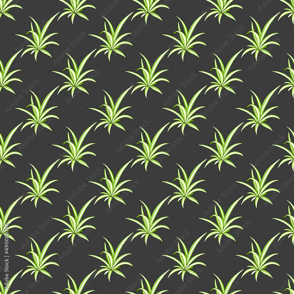 Seamless pattern with Spider plant Chlorophytum comosum , medicinal and house plant