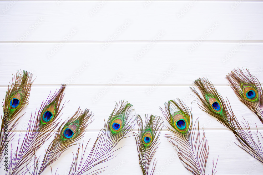 Obraz premium Peacock feathers on a white wooden background as a space for design with place for text.