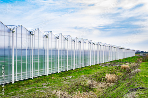 Agricultural greenhouse in Westland, Holland photo