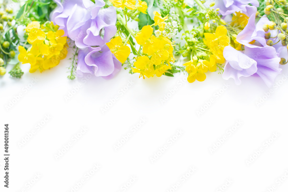 スイトピー 菜の花春の花の花束stock Photo Adobe Stock